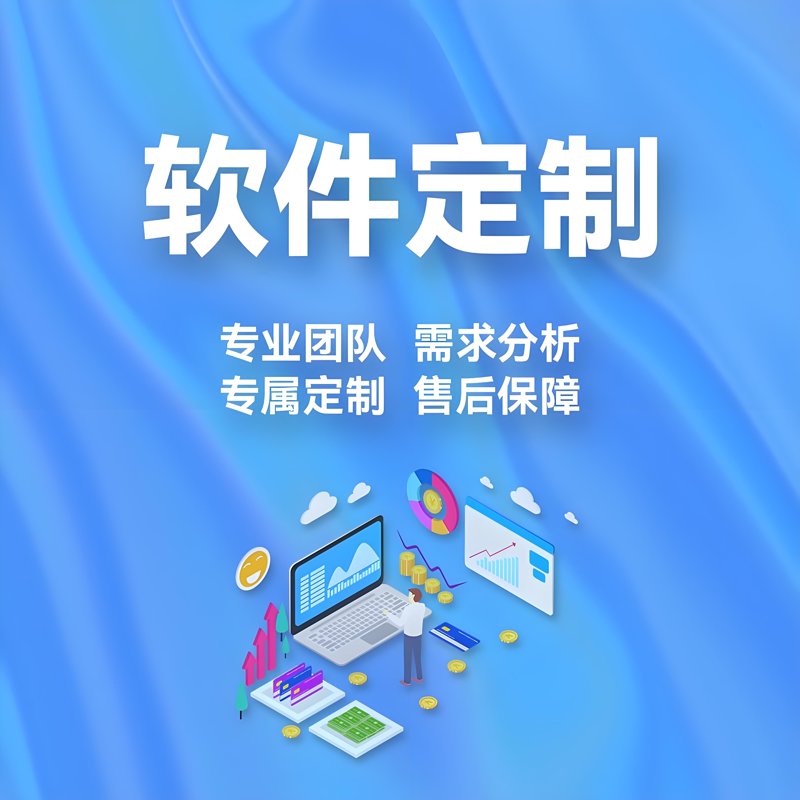 青海软件定制开发:助力企业高效升级